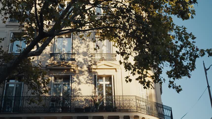 Golden light shines on a classic Parisian building with a balcony, seen through the leaves of a tree