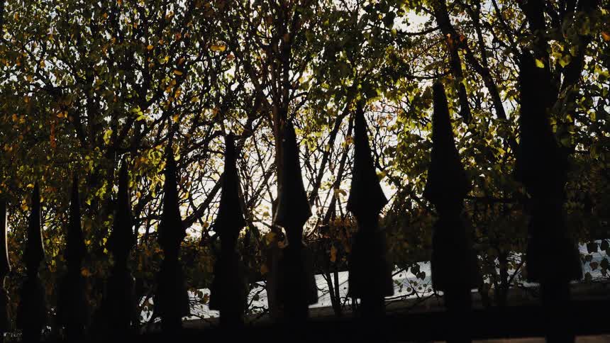 A serene time-lapse captures the sun's journey across the sky, viewed through a silhouetted wrought-iron fence and autumnal trees