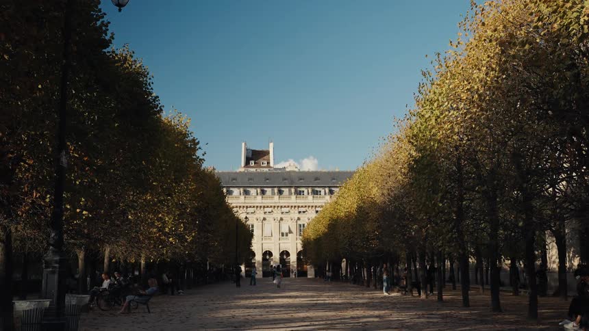 A wide, static shot captures the serene beauty of the tree-lined path in the Palais-Royal Garden on a sunny day in Paris