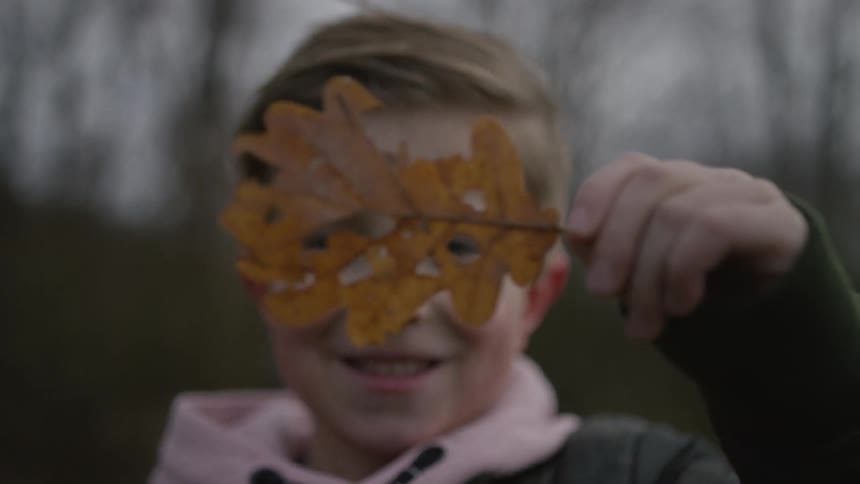 A young boy smiles as he playfully holds up a brown autumn leaf with holes in it, hiding his face in the woods