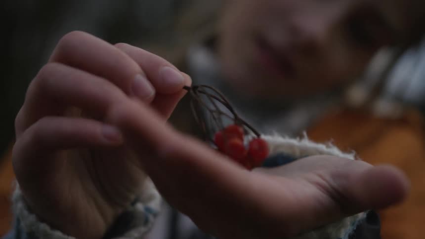 A young child in a cozy sweater gently holds and inspects a small bunch of red berries in their palm in slow motion