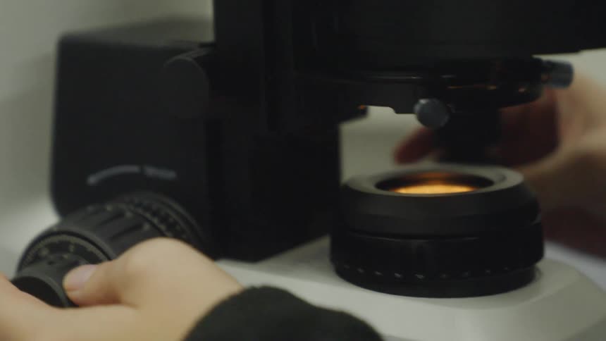 A close-up of a person's hands adjusting the focus knobs on a modern scientific microscope in a laboratory