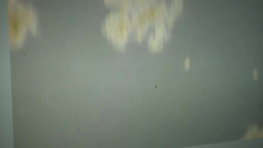 A microscopic view reveals various protozoa, amoebas, and other microorganisms in a drop of water