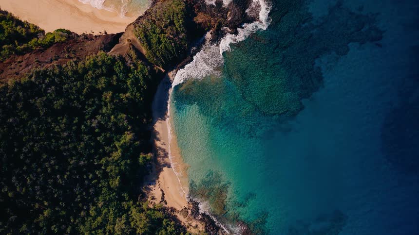 A tranquil top-down aerial view shows gentle waves washing onto a secluded golden sand beach nestled between a lush green forest and the clear turquoise ocean