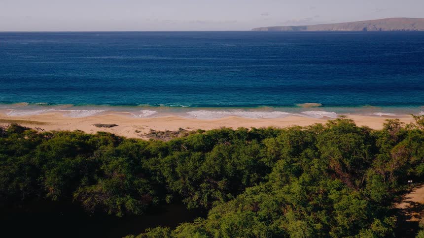 A stunning aerial view captures the lush green canopy of a tropical forest bordering a pristine sandy beach where gentle waves from the deep blue ocean roll ashore