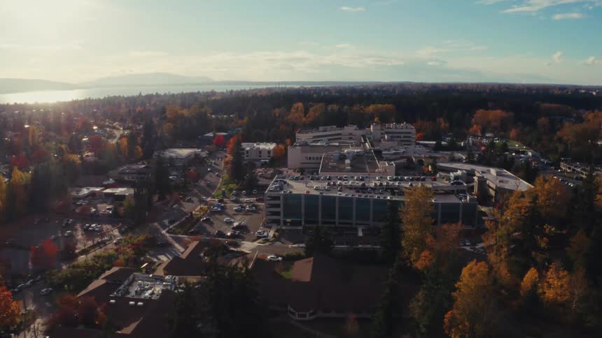 An aerial ascent over beautiful autumn trees reveals a sprawling hospital complex in a seaside town under a sunny sky