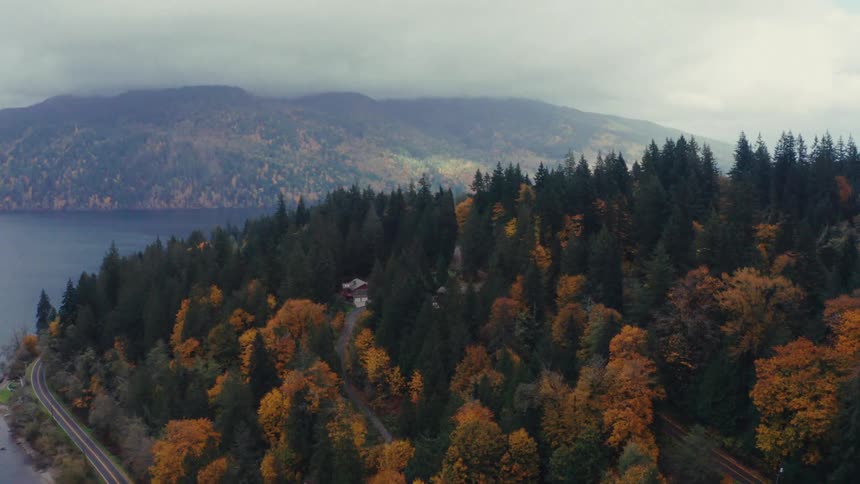A sweeping aerial view reveals a winding road alongside a lake, with houses nestled in a dense forest bursting with vibrant autumn colors