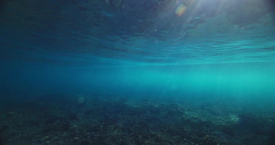 A serene underwater view of the ocean floor as sunlight penetrates the calm, deep blue water