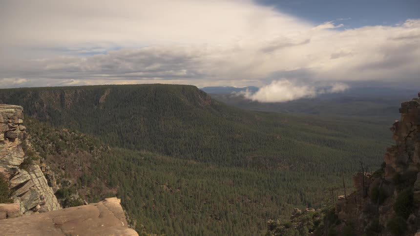 A slow pan reveals an expansive view of a forest-filled canyon from a rocky clifftop under a dramatic sky