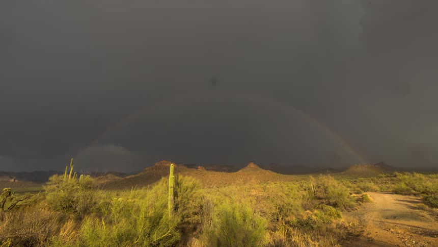 A time-lapse captures a vibrant rainbow forming across a dark, stormy sky over a sunlit desert landscape with saguaro cacti and mountains