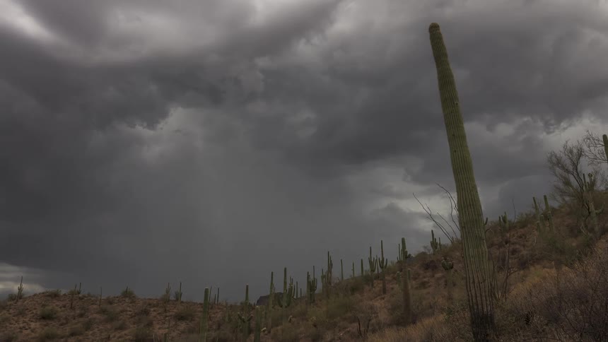 Dark, ominous storm clouds roll over a desert landscape dotted with Saguaro cacti