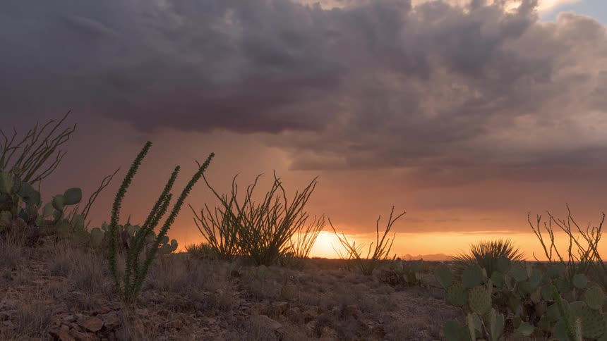 A dramatic time-lapse shows a desert rainstorm passing at sunset, revealing a fiery orange sky over ocotillo and cacti