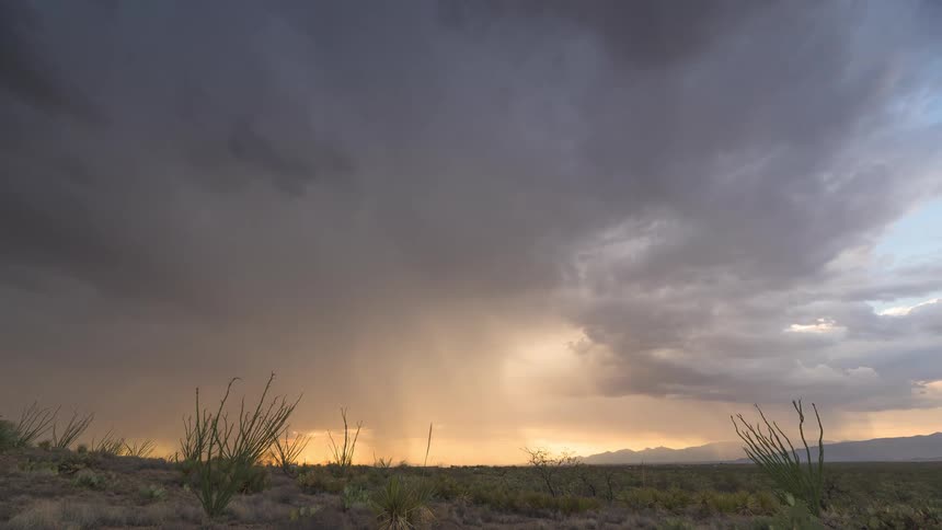 Golden sunlight illuminates a rain shaft from a powerful storm cloud over the desert at dusk
