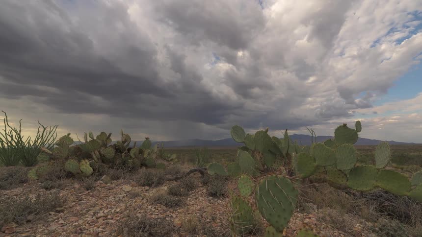 A dramatic time-lapse of dark storm clouds moving across a vast desert landscape with prickly pear cacti in the foreground