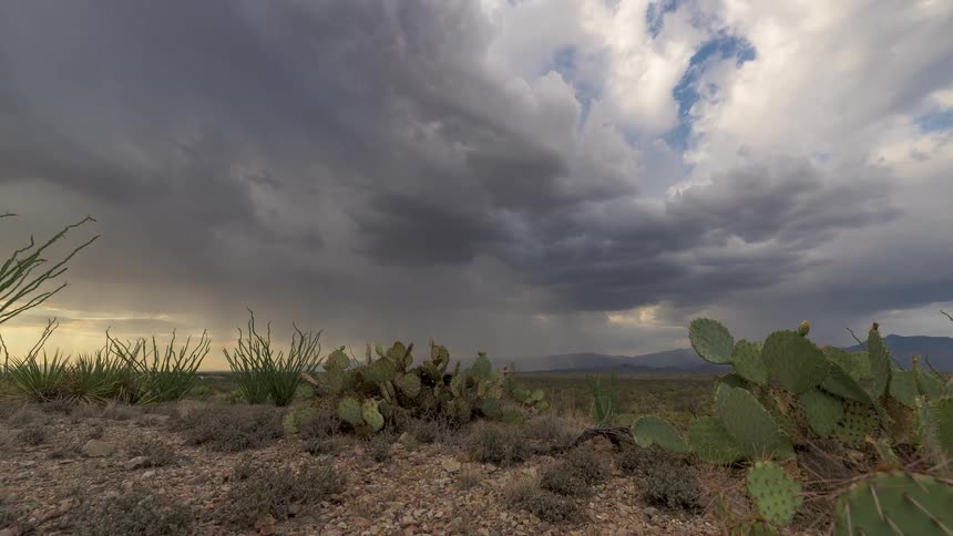A slow dolly shot reveals a vast desert landscape with cacti as a powerful thunderstorm rolls in overhead