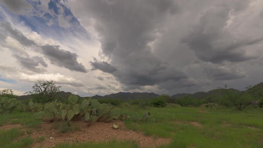 Dark storm clouds drift slowly across the sky above a verdant desert landscape featuring prickly pear cactus and rolling hills