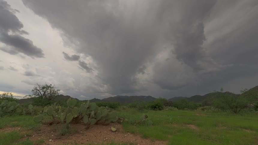 Dark, dramatic storm clouds move ominously over a green desert mountain landscape with prickly pear cactus