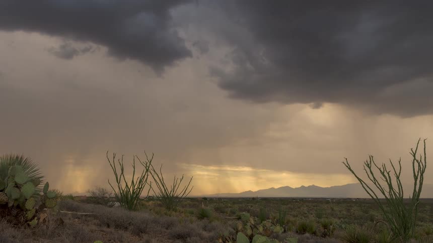 A dramatic time-lapse captures a powerful thunderstorm with golden sunbeams breaking through dark clouds over a desert landscape with cacti
