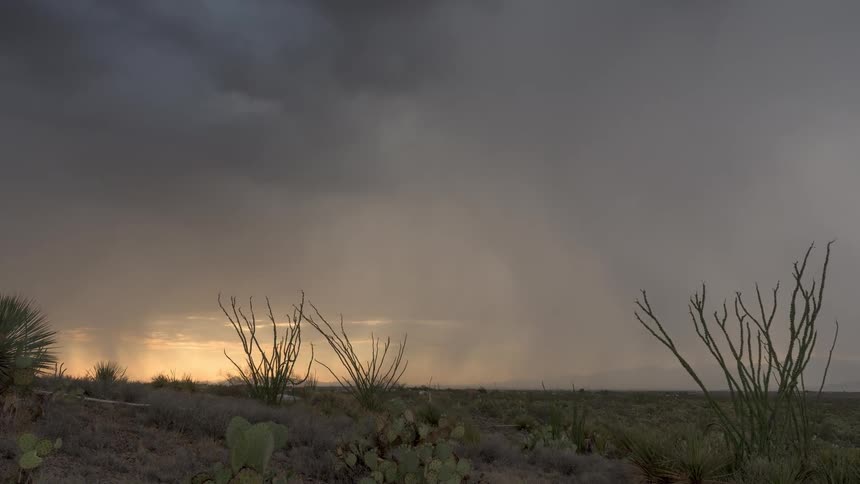 A dramatic time-lapse shows a powerful rainstorm moving across a desert landscape at sunset, with ocotillo and cacti in the foreground
