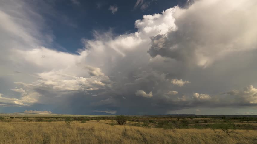 Massive, turbulent storm clouds gather and unleash rain over a vast, sunlit grassland landscape