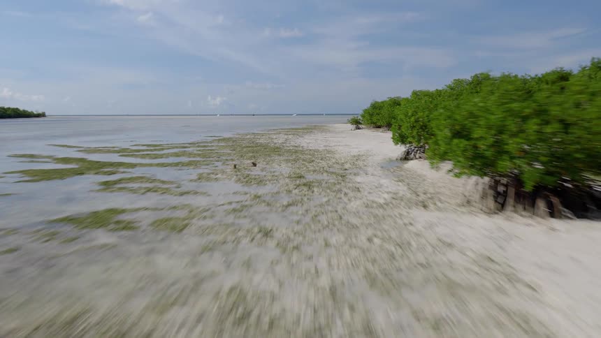 Fast aerial pullback over a shallow tropical shoreline with white sand, seagrass, and mangrove trees