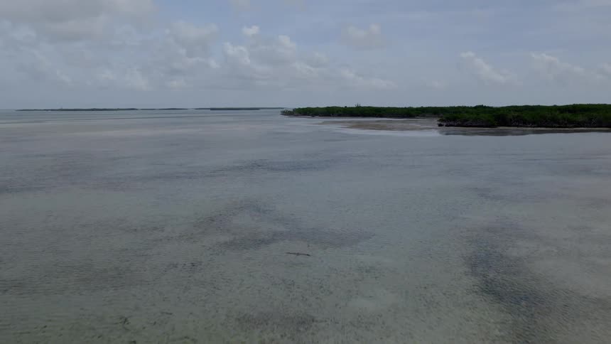Slow motion footage of a seabird flying low over the calm, clear ocean near a mangrove island