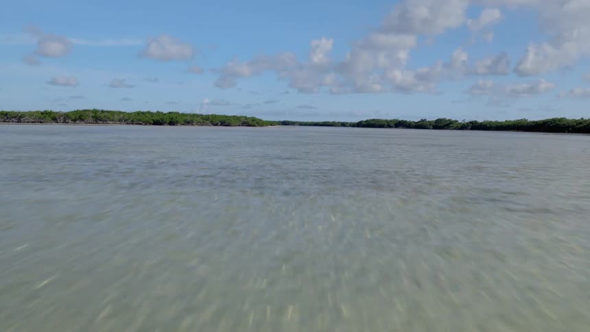 A fast-paced FPV drone shot skims low over the crystal clear shallow waters of a tropical mangrove forest