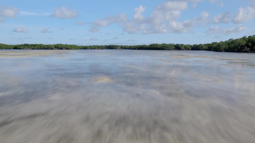 A fast-paced aerial view skims low over the shallow, clear waters of a tropical mangrove forest