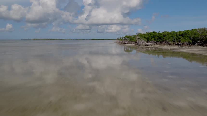 Soaring low and fast over crystal-clear shallow water towards a tropical mangrove shoreline on a beautiful day