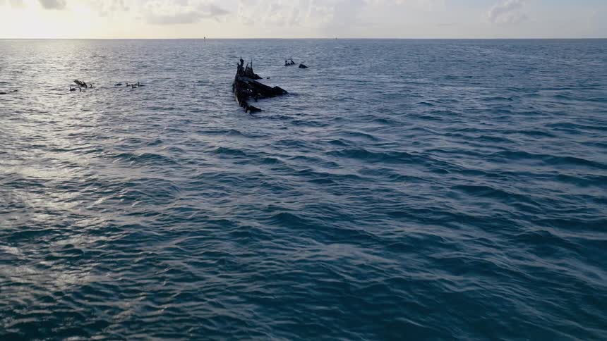 Birds rest on a sunken ship in the middle of the vast ocean as the camera slowly pulls away