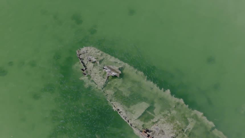 A slow aerial ascent reveals a sunken shipwreck resting in calm, shallow green water, surrounded by schools of fish