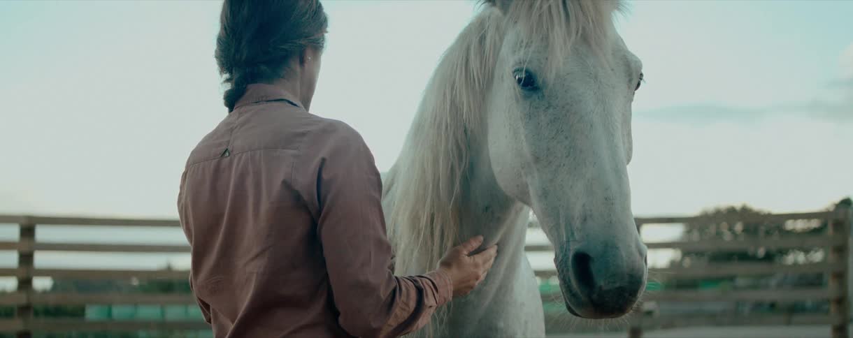 A woman gently caresses the neck of her white horse in a dusty outdoor paddock