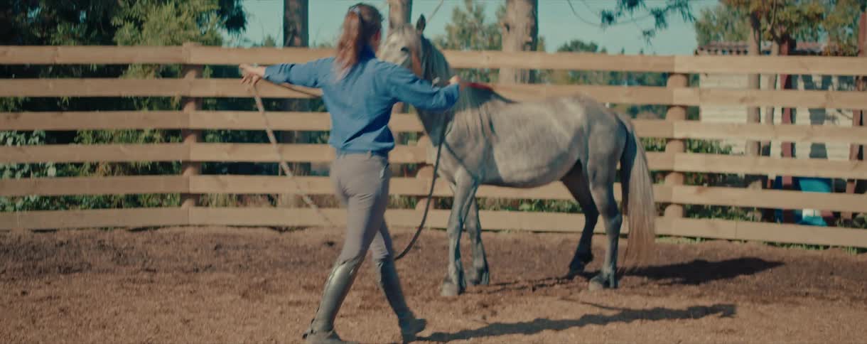 A skilled female equestrian trains her beautiful grey horse in a round pen, guiding it to walk and then trot in a circle around her