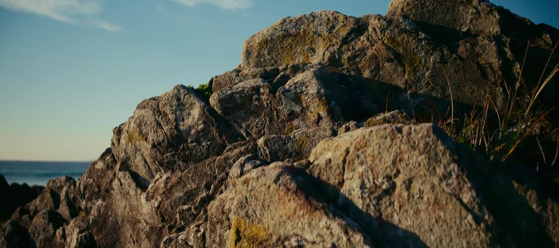 A close-up view of mossy rocks on a coastal cliff with a blue sky and ocean in the background during golden hour