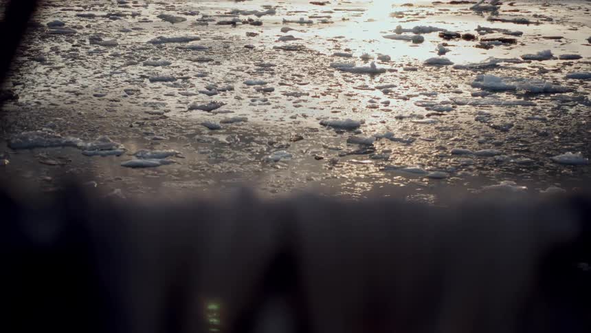 Golden sunlight reflects on a calm arctic sea scattered with small, broken pieces of floating ice