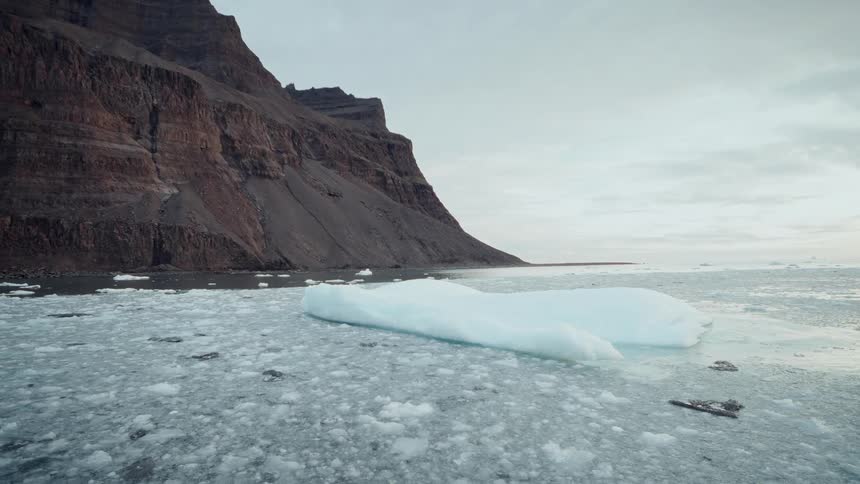 An iceberg floats in a sea of broken ice next to a towering rocky cliff in a desolate arctic landscape