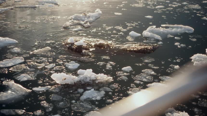 Sunlight reflects off pieces of sea ice gently floating in the cold ocean