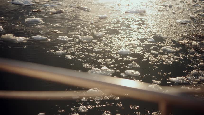 Sunlight sparkles on the calm surface of the icy arctic sea filled with small floating ice floes