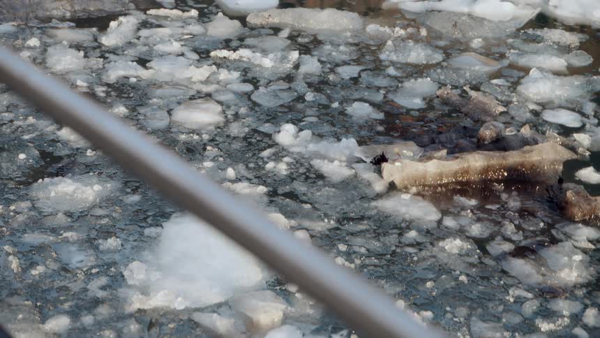 Close up of dirty, broken ice chunks floating in a cold river on a sunny winter day