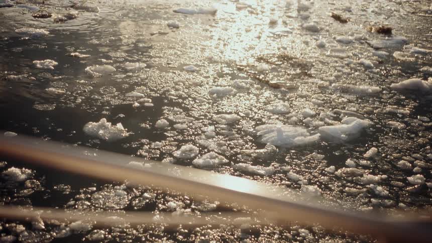 Golden sunlight reflects off of slushy ice floating gently in the water, as seen from behind a railing