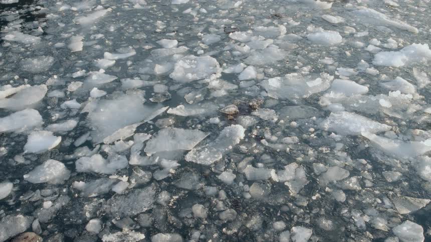 A still shot of broken pieces of ice floating gently in cold, dark water