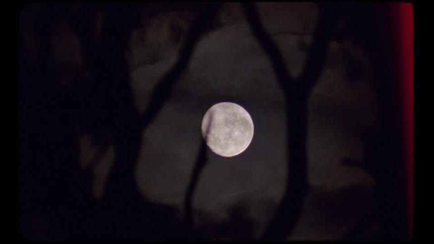 A vintage film burn transition reveals a full moon shining brightly in the night sky between silhouetted tree branches