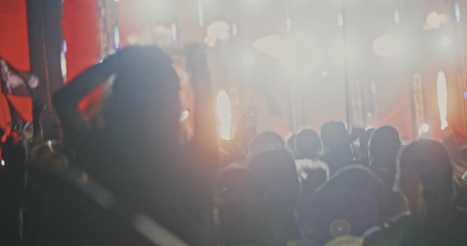 A silhouetted crowd dances and cheers in front of a massive stage with a spectacular pyrotechnic and light show at a nighttime music festival