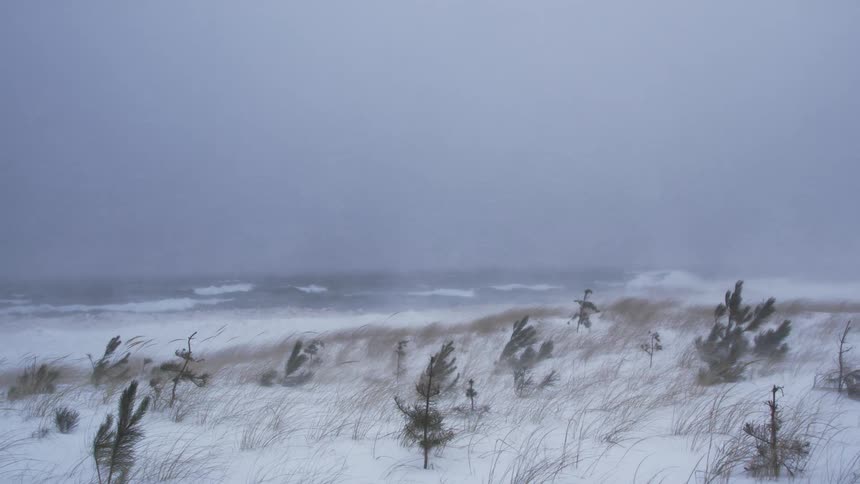 A fierce snowstorm batters a winter coastline, with strong winds blowing snow across the dunes and rough waves crashing in the sea