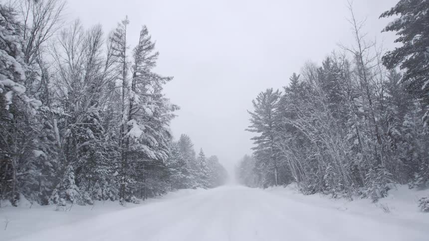Slowly moving down a snow-covered road in a dense forest during a heavy winter snowstorm