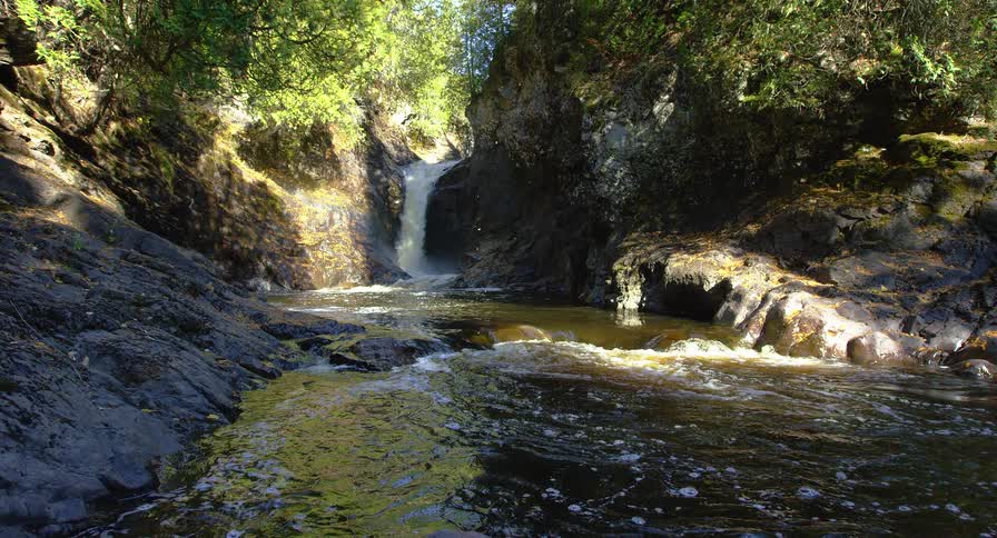 A serene river flows from a hidden waterfall in a rocky forest gorge as sunlight shines and leaves gently fall
