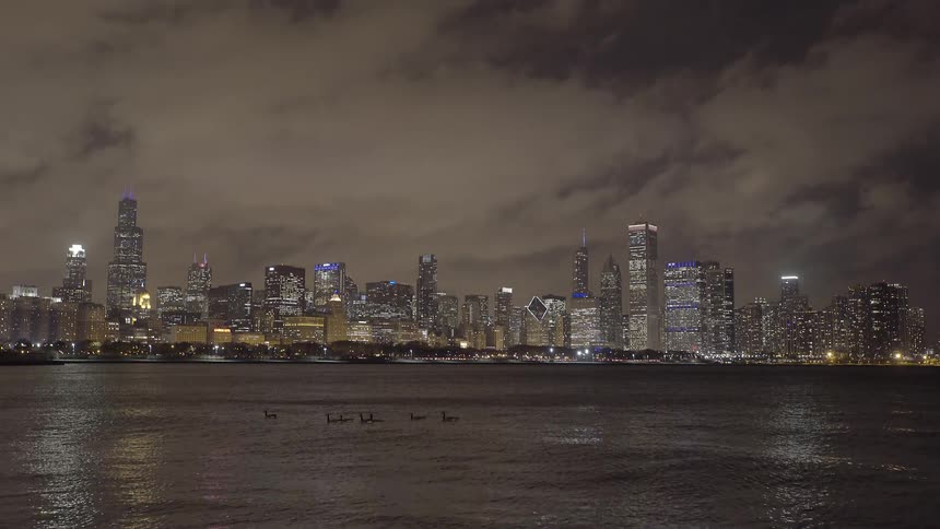 The iconic Chicago skyline glows brilliantly at night across the dark waters of Lake Michigan as geese swim in the foreground
