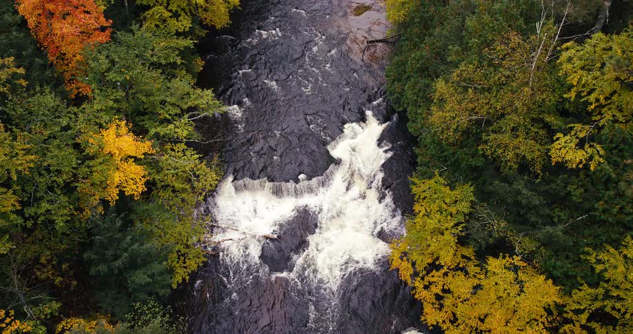 An aerial top-down view of a river with rapids flowing through a lush forest during the peak of autumn foliage