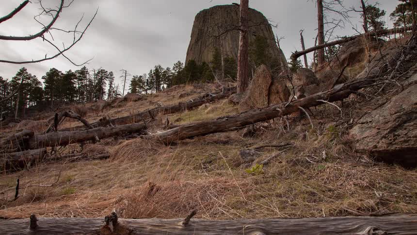 Low-angle dolly-out timelapse of clouds passing over Devils Tower, with a rugged, fire-damaged forest in the foreground