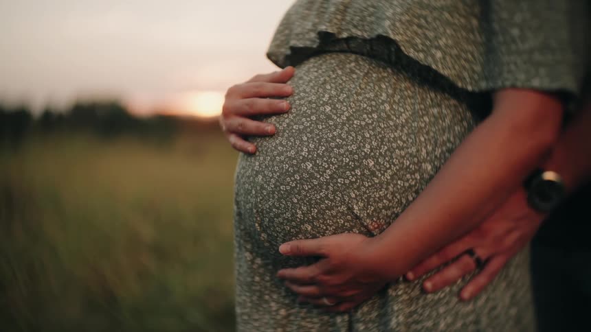 An intimate close-up of an expectant couple's hands embracing a pregnant belly while standing in a golden field at sunset